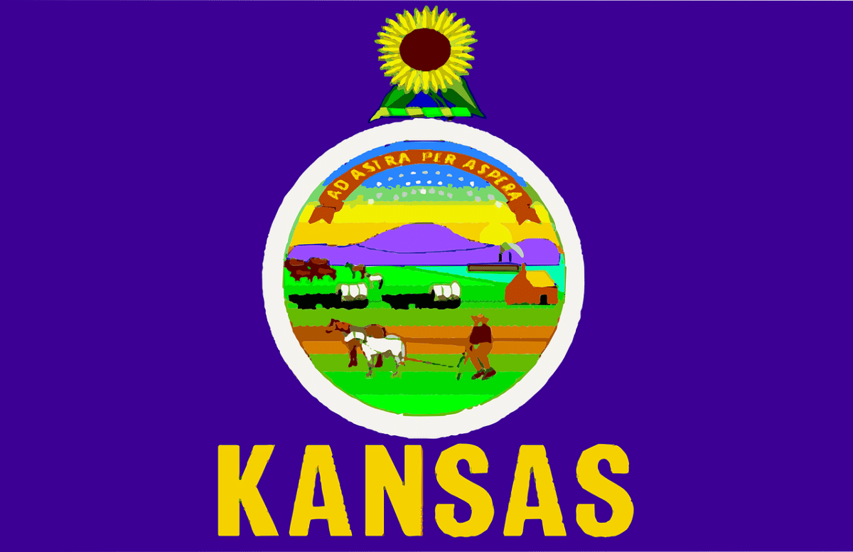 flag, kansas, state, usa, america, united, states, american, kansas, kansas, kansas, kansas, kansas